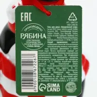 Гель для душа новогодний, 300 мл, фруктовое мороженое, Ural Lab