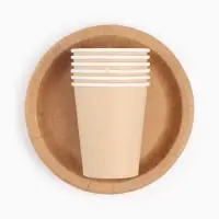 Набор посуды одноразовый &laquo;КРАФТ&raquo;: 6 стаканов, 6 тарелок