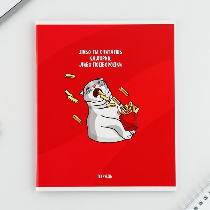 Тетрадь в клетку, 48 листов А5 на скрепке МИКС &laquo;1 сентября: Котики&raquo;, обложка мелованный картон 230 гр внутренний блок №1, белизна 96%