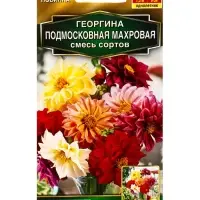 Семена цветов Георгина Подмосковная махровая, смесь сортов  Золотая серия, Ц/П,10 шт.