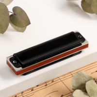 Губная гармошка Music Life T008L  C диатоническая, 10 отверстий, с футляром