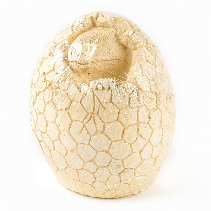 Набор для раскопок &laquo;Диномир&raquo;, гипсовое яйцо, инструменты, 5+