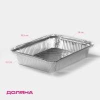 Набор форм из фольги для запекания и выпечки Доляна, 1,04 л, 22,5&times;18&times;4,5 см, 2 шт