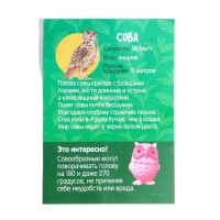 Растущие животные в яйце &laquo;Сова&raquo; МИКС