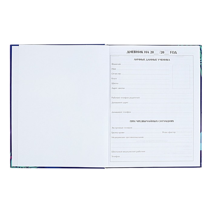 Дневник для 5-11 классов "Современный вайб. Будь круче!", твёрдая обложка, глянцевая ламинация, 48 листов