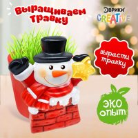 Набор для опытов &laquo;Выращиваем травку&raquo;, снеговик