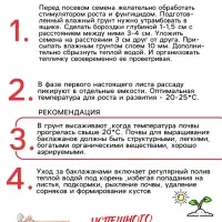 Семена Баклажан &laquo;Чёрный красавец&raquo;, 0.3 г