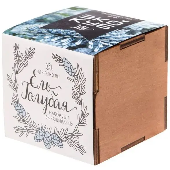 Набор для выращивания «Экокуб Lite», ель голубая Набор для выращивания «Экокуб Lite», ель голубая