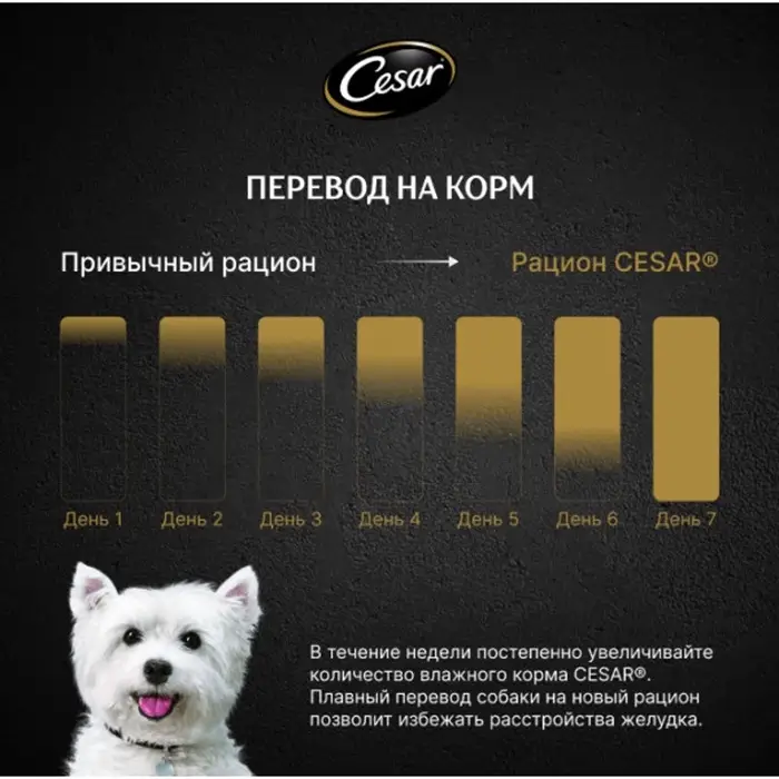 Влажный корм Cesar для собак, паштет с ягнёнком, пауч, 80 г