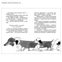 Внеклассное чтение &laquo;Умная и знаменитая собачка Соня&raquo;, Усачев А.