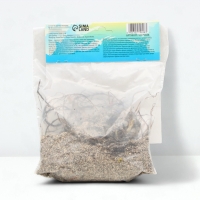 Флокс &laquo;Отэм Джой&raquo; корневище в пакете с торфогрунтом, р-р I, 2 шт.