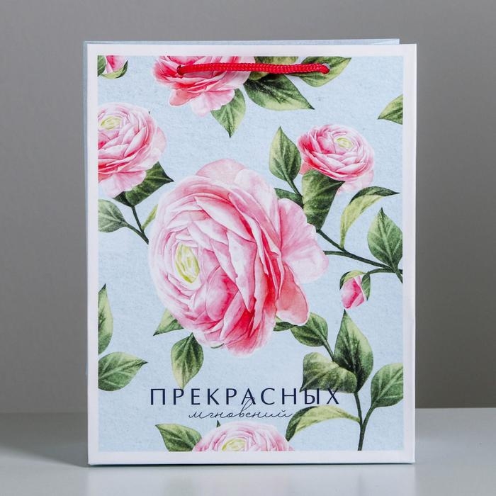 Пакет подарочный ламинированный вертикальный, упаковка, &laquo;Прекрасных мгновений&raquo;, MS 18 х 23 х 10 см