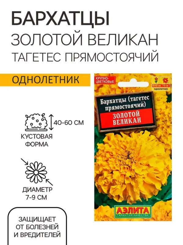 Семена  цветов Бархатцы "Золотой великан", О, 0,1 г