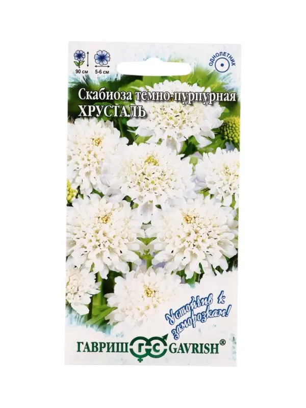 Семена цветов Скабиоза пурпурная Хрусталь, махр. 0,2 г серия Устойчив к заморозкам!