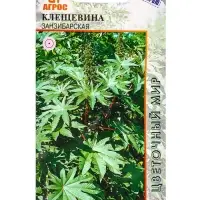 Семена Клещевина "Занзибарская" 4 шт