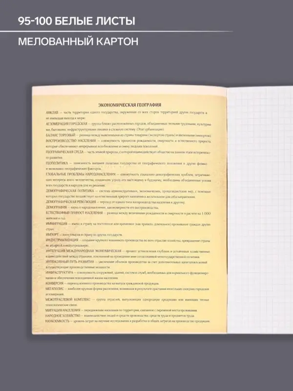 Тетрадь предметная 48 листов в клетку Calligrata, &laquo;СуперНеон. География&raquo;, обложка мелованный картон