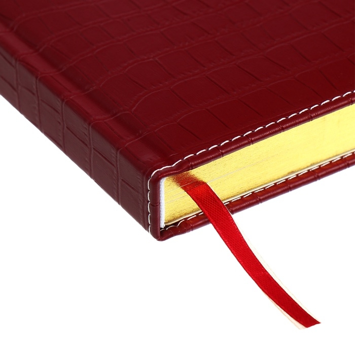 Ежедневник датированный 2024 A5 176 листов, deVENTE.Wild, твёрдая обложка из искусственной кожи, золотой срез, ляссе, кремовый блок 70 г/м2, бордовый