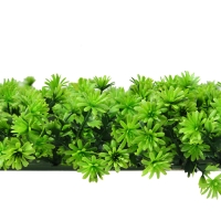 Декоративная панель, 50 &times;50 см, &laquo;Высокий мох&raquo;, Greengo