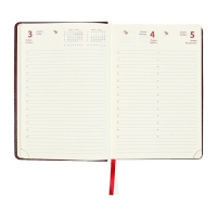 Ежедневник датированный 2024 A5 176 листов, deVENTE.Wild, твёрдая обложка из искусственной кожи, золотой срез, ляссе, кремовый блок 70 г/м2, бордовый