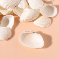 Ракушки природные декоративные "Венус белая" набор 100 гр