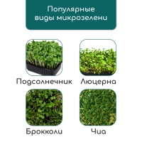 Коврик джутовый для выращивания микрозелени, 10 &times; 15 см, толщина 1 см, набор 5 шт.