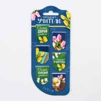 Закладки магнитные на подложке &laquo;Любимому учителю&raquo;, 6 шт.