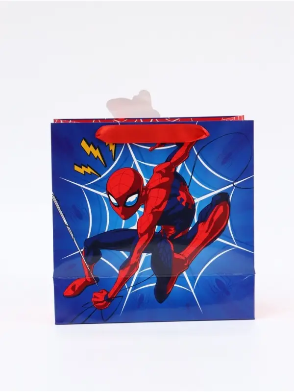 Пакет подарочный &laquo;Супергерой&raquo;, 22 &times; 22 &times; 10 см