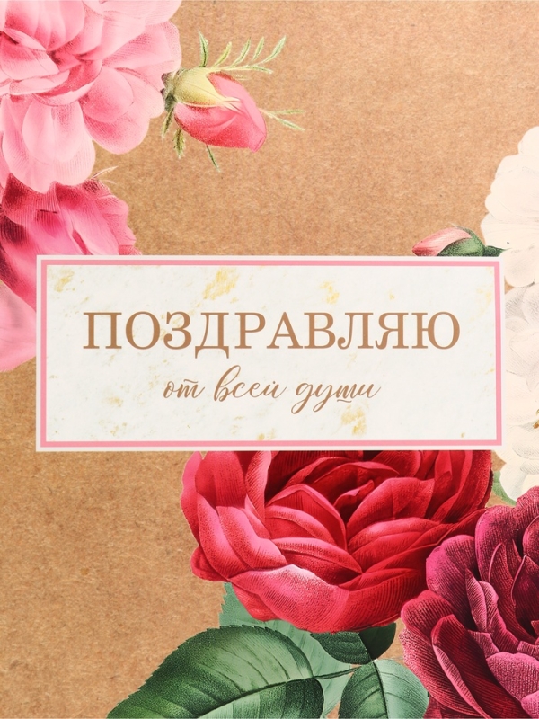 Пакет подарочный горизонтальный "Поздравляю от всей души", 49 &times; 40 &times; 19 см
