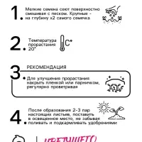 Семена цветов "Аубреция", Смесь окрасок, 0,1гр.