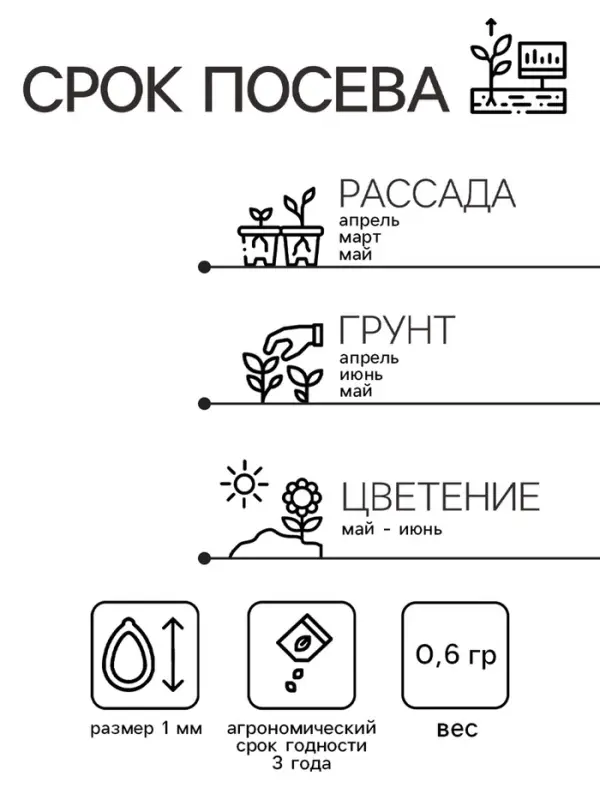 Семена Гвоздика "Триколор", ц/п,  0,6 г