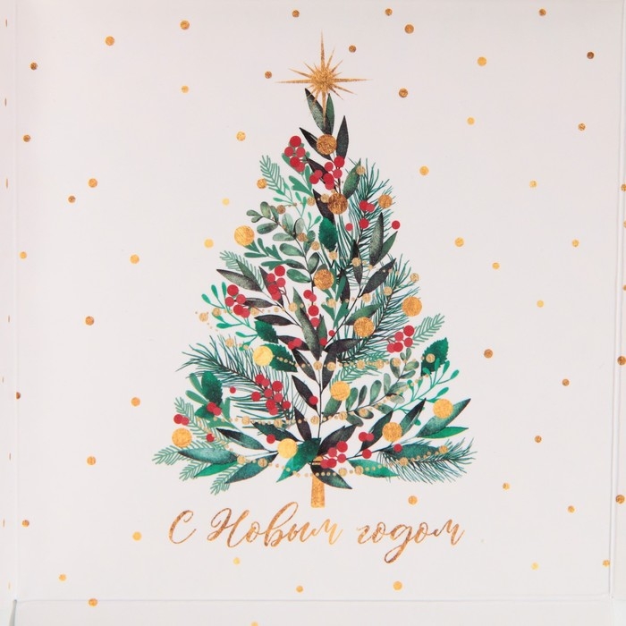 Коробка для кондитерских изделий с PVC крышкой &laquo;Елка&raquo;, 21 х 21 х 3 см