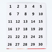 Алмазная мозаика с полным заполнением на холсте с подрамником &laquo;Лунный волк&raquo;, 40 х 50 см