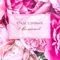 Пакет подарочный ламинированный горизонтальный &laquo;Моменты&raquo;, XL 49 &times; 40 &times; 19 см