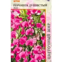 Семена Горошек душистый Луис 1 г