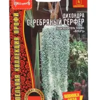 Семена цветов Дихондра Серебряный Сёрфер (Silver Surfer) (Benary) 3шт.   12.29 г.