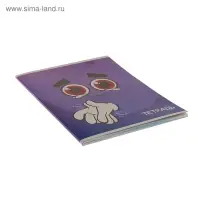 Тетрадь 48 листов в клетку Calligrata &laquo;Смайлики-2&raquo;, обложка мелованный картон, блок офсет, МИКС