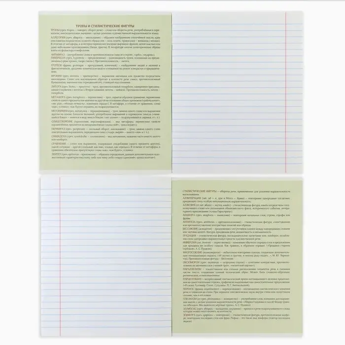 Тетрадь в линейку, предметная, 48 л.,на скрепке, А5 &laquo;Аниме Комикс. Литература&raquo;