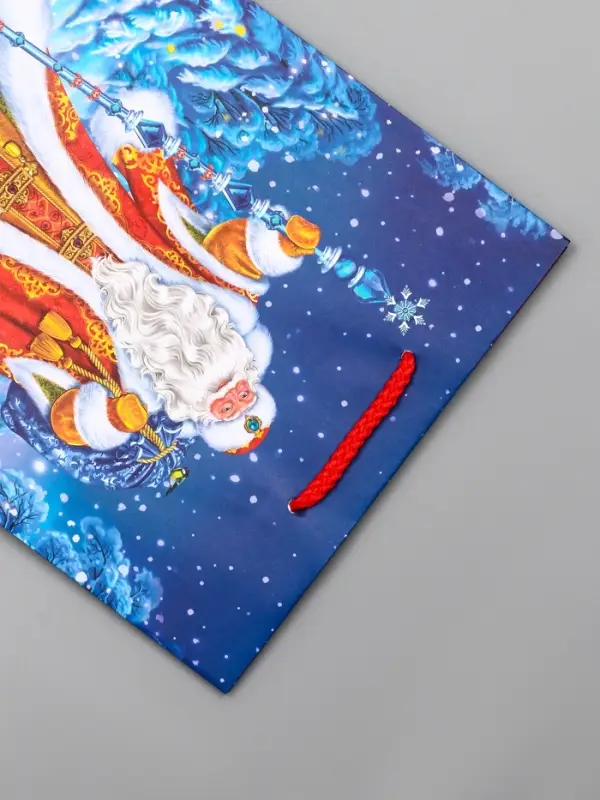 Пакет подарочный новогодний ламинированный, &laquo;Новогодний набор &raquo; , 18&times;10&times;22.3 см