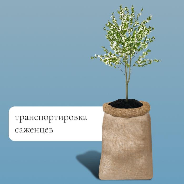 Мешок джутовый, 50 &times; 80 см, плотность 26 &times; 26 нитей, без завязок, Greengo