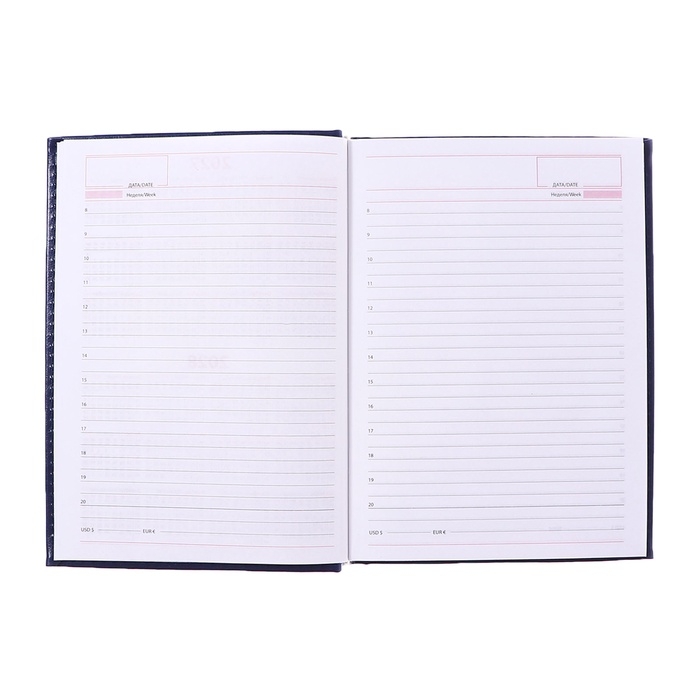 Ежедневник недатированный А5, 160 листов "Небраска", обложка искусственная кожа, перфорация углов, синий