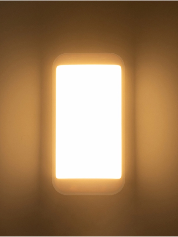 Светильник "Минимал" прямоугольник LED 10Вт 6500К (быстросъемный механизм) белый 5х12х24см   1077725