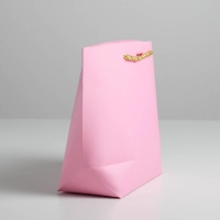 Пакет подарочный, упаковка, &laquo;Best wishes&raquo;, 19 х 20 х 9 см