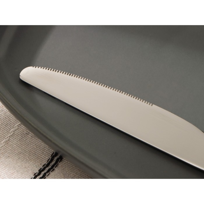 Нож столовый из нержавеющей стали Magistro &laquo;Олин&raquo;, длина 22,7 см, цвет серебряный