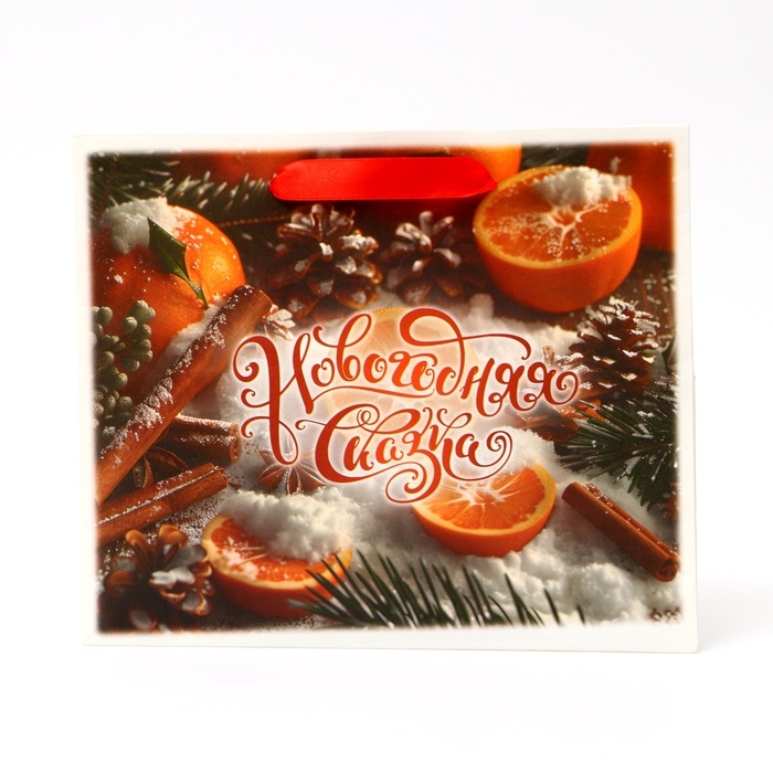 Новый год. Пакет подарочный новогодний бумажный, "Новогодняя сказка", 24 х 20 х 11 см.