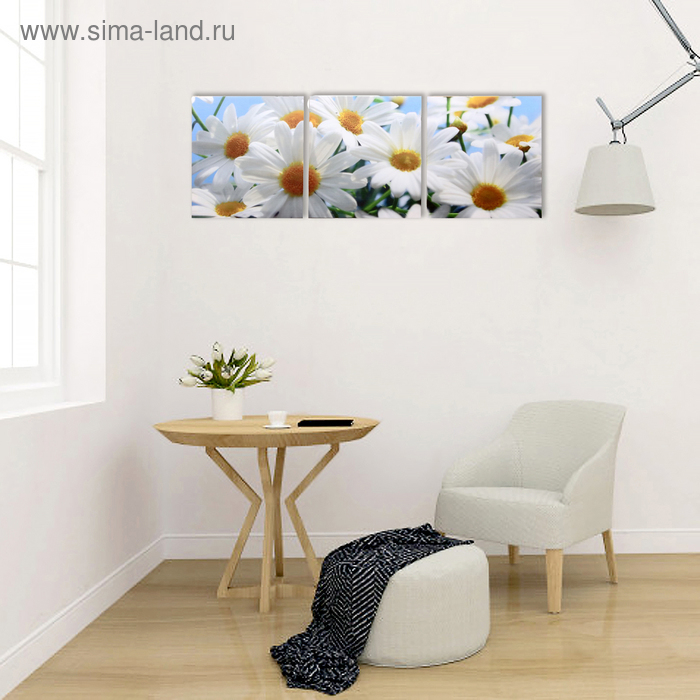 Модульная картина "Белые ромашки" (3-35х35) 35х105 см
