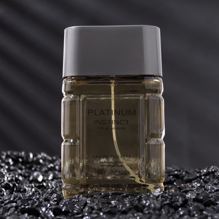 Туалетная вода мужская Instinct Platinum, 100 мл (по мотивам Egoiste Platinum (Chanel)