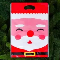 Пакет подарочный, с zip-lock застежкой, "Дед Мороз", 15х23 &plusmn; 1см.