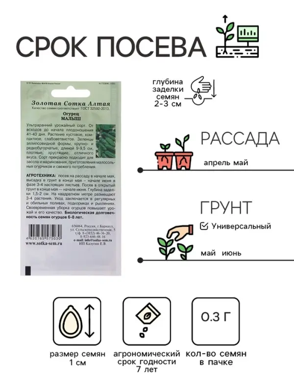 Семена Огурец "Малыш", ультраранний, 0,3 г