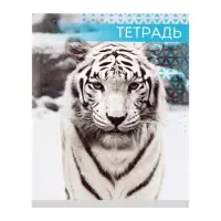 Тетрадь 48 листов в клетку, Calligrata &laquo;Дикие кошки&raquo;, обложка мелованная бумага, МИКС