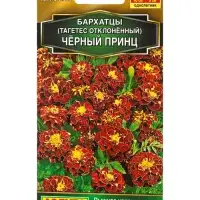 Семена цветов Бархатцы Черный принц отклоненные  Золотая серия, Ц/П,0,3 г